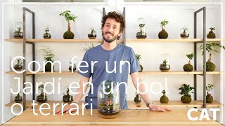 Com fer un Jardi en un bol Versió en català [upl. by Ennayt]