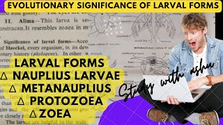 Free living larvae of invertebrates  evolutionary significance of larval forms [upl. by Dreher987]