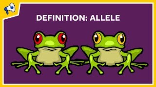 What is an Allele Quick Definition [upl. by Corette]