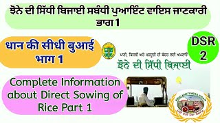 Important Points about Direct Seeded Rice Part1ਸਿੱਧੀ ਬਿਜਾਈ ਸਬੰਧੀ ਜਰੂਰੀ ਨੁਕਤੇ ਭਾਗ 1Shergill Markhai [upl. by Uhp]