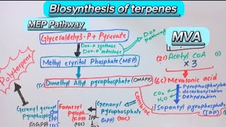 Biosynthesis of terpenesBiochemistryMVA and MEP Pathwaybiochemistry [upl. by Cynth386]