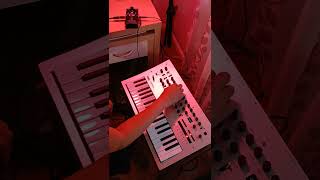 Minilogue arp jam using MXR Reverb pedal [upl. by Josephina]