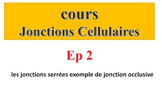 cours jonctions cellulaires Ep2  les jonctions serrées exemple de jonction occlusive [upl. by Okemak663]