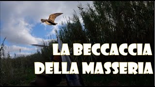 🇮🇹CACCIA 💎BECCACCIANDO💎 🎥La Beccaccia della Masseria📀📀 [upl. by Beatrice]