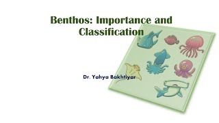 47 Benthos Importance and Classification [upl. by Marita]