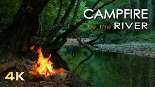 4K Campfire by the River  Relaxing Fireplace amp Nature Sounds  Robin Birdsong  UHD Video  2160p [upl. by Enirac]