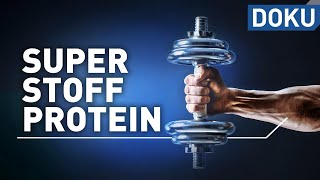 Superstoff Protein – macht Eiweiß schlank und fit  Superstoffe  alles wissen  doku [upl. by Nemsaj]