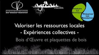 Excelsior  initiative pour valoriser le bois local en bois doeuvre et plaquettes [upl. by Nate]