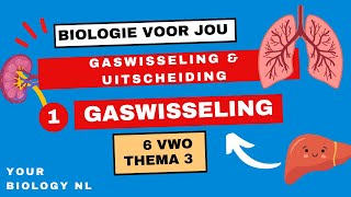 6 vwo  Gaswisseling amp Uitscheiding  1  Gaswisseling [upl. by Mccurdy111]