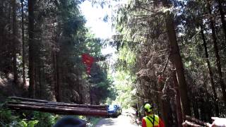 Maxwald Durchforstungsseilbahn Vorführung LLA Rotholz 18062012 [upl. by Thgiwed829]