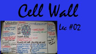 Cell wall cell and subcellular organellesstructuretypesfunction of cell wall [upl. by Abbey]