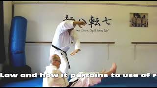 Sochin Bunkai Strategies 2023 week 7 koryu karate oyo jutsu [upl. by Marris275]