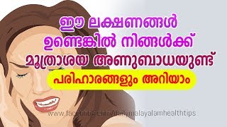 Urinary Infection Symptoms Diagnosis and Treatment  Daily Malayalam Health Tips [upl. by Adnuhsed]