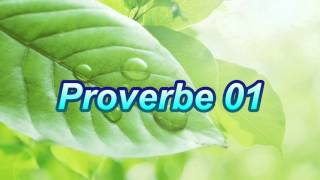 Proverbe 01 [upl. by Annasiul432]