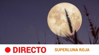 LUNA de SANGRE Eclipse lunar total desde MÉXICO y CHILE  RTVE Noticias [upl. by Monto]