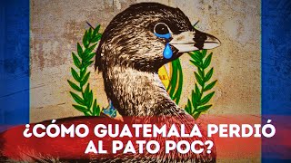 ¿Cómo se extinguió el Pato Poc en Guatemala 🪿 Tragedia en el Lago Atitlán 😔 [upl. by Sedgewake399]