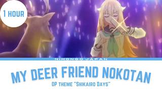 『1 HOUR』My Deer Friend Nokotan  OP THEME  Shikairo Days [upl. by Fredra345]