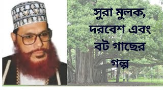 সুরা মুলক দরবেশ এবং বট গাছের গল্পসাঈদীdelwar hossain saidi waz [upl. by Bbor812]