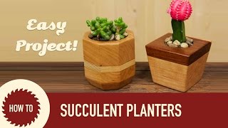 How to Make Succulent amp Cactus Planters [upl. by Saw]