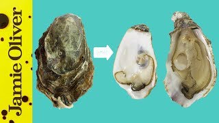 How To Open Oysters  1 Minute Tips  Bart’s Fish Tales [upl. by Sedgewick]