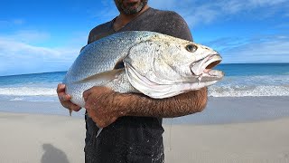 Mulloway Fishing From The Beach Perth Western Australia [upl. by Adnana]