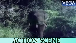 Elephant Kills One Off The Two Officials  Kolakkomaban Movie Scenes [upl. by Aokek]