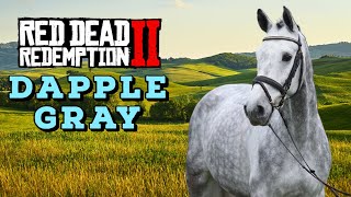 Horse Hunting  Dapple Gray Thoroughbred Best Horses in Red Dead Redemption 2 [upl. by Nonnaehr]