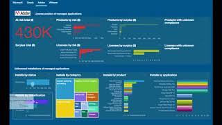 Data Analytics Gives You Visibility into Key Enterprise Data from Flexera [upl. by Aimal335]