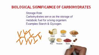 Carbohydrates Introduction classification amp biological significance [upl. by Eelyab]