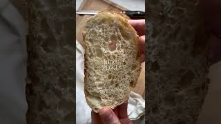 Sourdough Compilation 2023 bakingbasics sourdoughstarter baking breadforbeginners sourdoughclub [upl. by Ggerc]