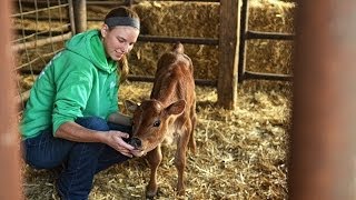 Ohio State University Agricultural Technical Institute part 1 [upl. by Ortrud956]