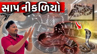 Indian Common Krait😱😱સાપ નીકળિયોBhavnagar VlogsGujarati VlogsHari GJ4 Vlogs [upl. by Macintyre]