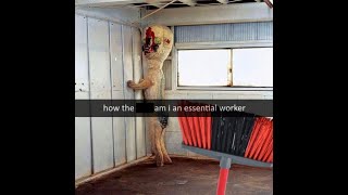 SCP Memes  49 [upl. by Ainocal689]