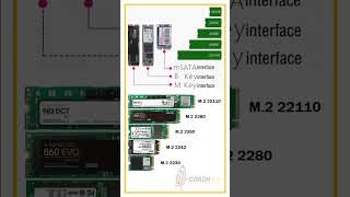 SSD vs HDD  Hard Disk Drive vs Solid State Drive vs NVME 💻 Computer Laptop Storage  shorts [upl. by Notsnarc]