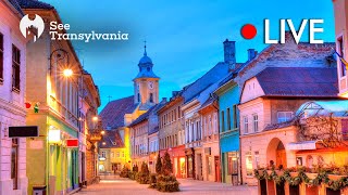 Michael Weiss Street Brasov  Pilvax Restaurant  🔴 Live Webcam [upl. by Annoyek]