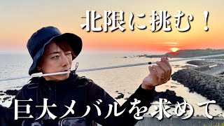 【巨大メバルを求めて】40cmのメバルを釣った男が人生最大魚に挑む‼️～前編～ [upl. by Nuyh]