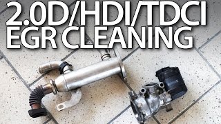 20HDi 20TDCi 20D EGR valve cleaning [upl. by Ahsap]