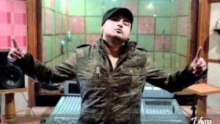 Honey Singh  Morni Banke 2011 Remake [upl. by Fasta]