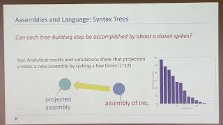 CoinFlipping in the Brain Probabilistic Computation and Learning in the Assembly Model [upl. by Leohcin]