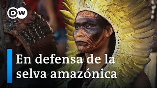 La Amazonía en peligro los pueblos originarios y su lucha por la selva  DW Documental [upl. by Pinzler290]