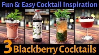 3 Fun amp Easy BLACKBERRY Cocktails [upl. by Anidan]