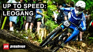 Everything You Need To Know Going Into Round 3 Of World Cup DH Racing  Up To Speed Leogang [upl. by Annahael948]