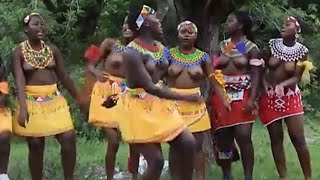 Tribe Dance Umemulo kaBule [upl. by Dlorrej]