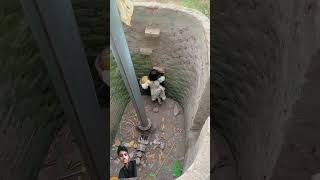 bachay man kay sachay hoty ha viralshorts shorts india yrendingshortsonyoutube [upl. by Arundel]