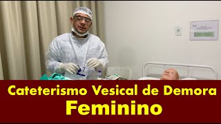 Cateterismo Vesical de Demora  Feminino [upl. by Nehtanhoj456]