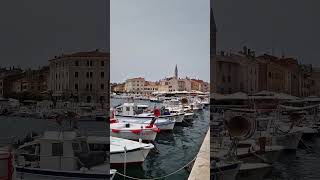 Boats at waterfront Rovinj Croatia TravelwithHugoF travelshorts croatia marina [upl. by Eliath87]