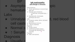 IgA nephropathy aka Bergers disease [upl. by Sig865]