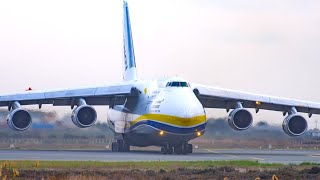 INCREDIBLE ANTONOV An124 LANDING  Larnaca Airport Plane Spotting [upl. by Ennael371]