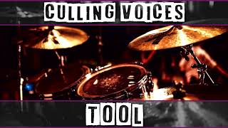 Drumless Culling Voices  Tool [upl. by Notlil479]