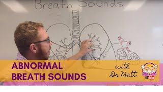 Abnormal Breath Sounds  Respiratory System [upl. by Adnerol]